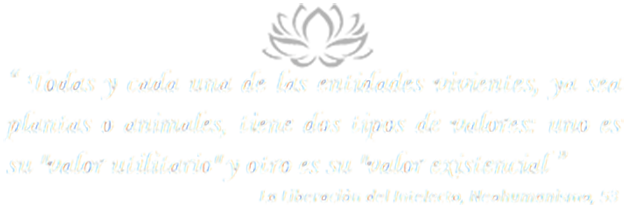 Mensaje de Baba