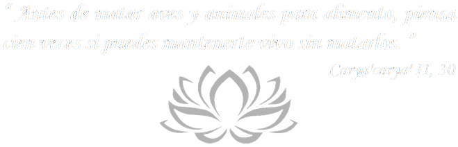 Mensaje de Baba